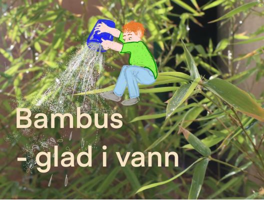 Sture vanner hekkplanter for god vekst