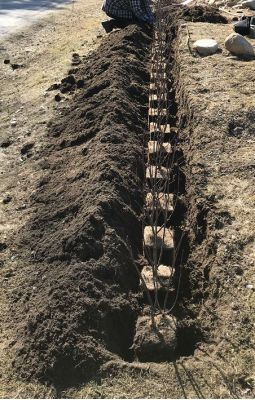 Bilde fra hageprosjekt i Tindem, frodig og grønn hekk