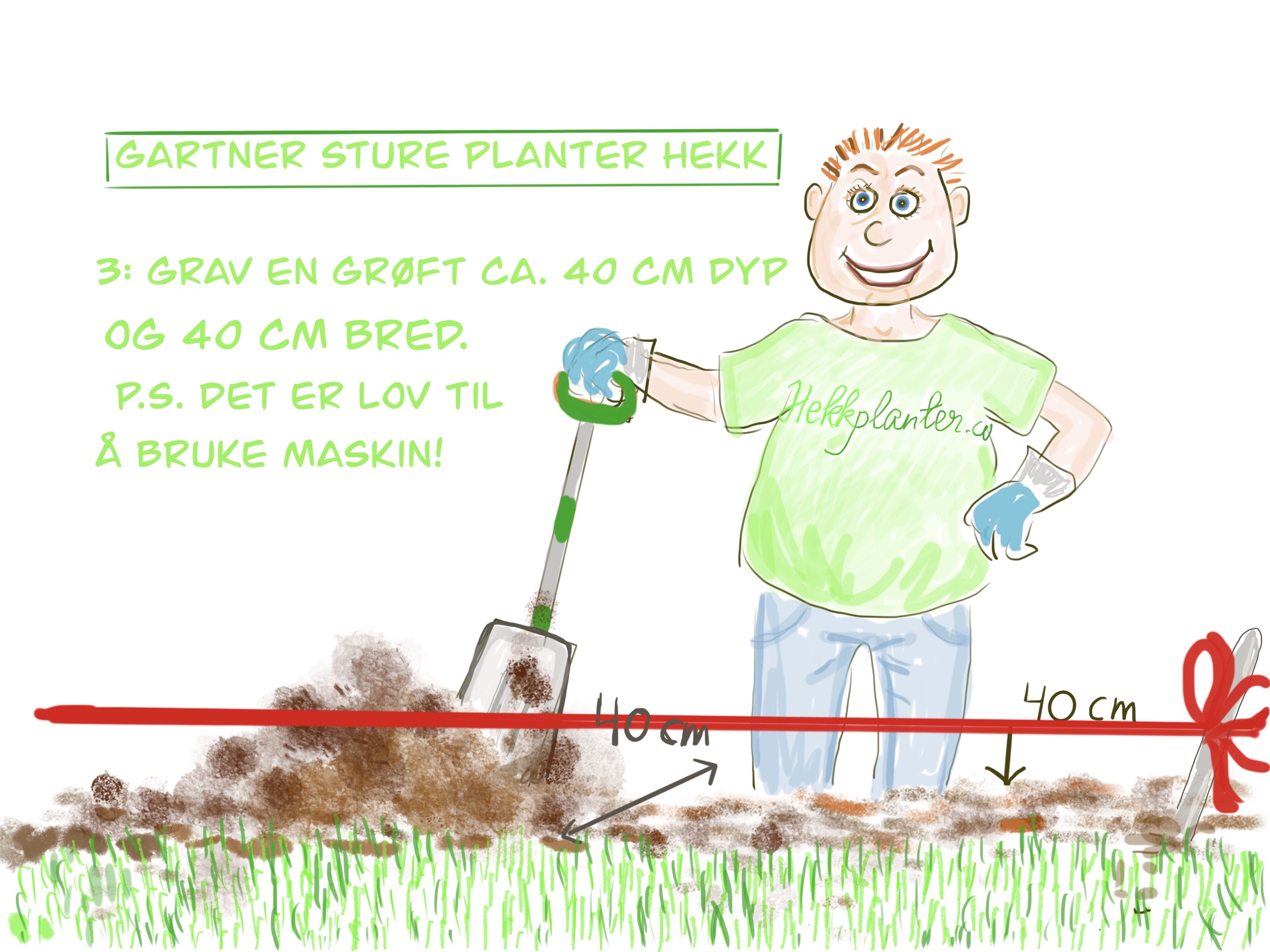 Bilde fra hekkprosjekt Sture, del 3