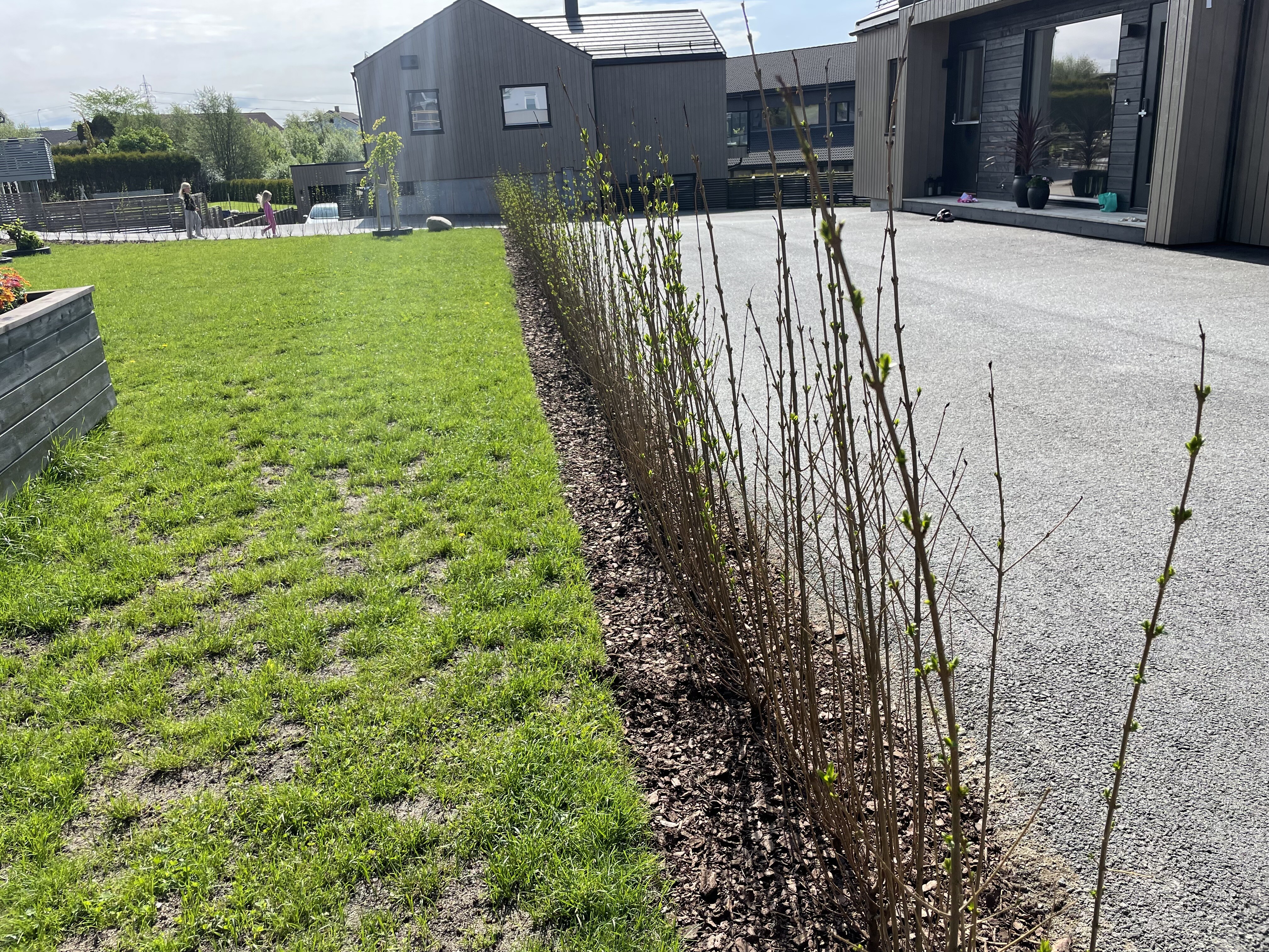 Vinterligster Bryne april 2024