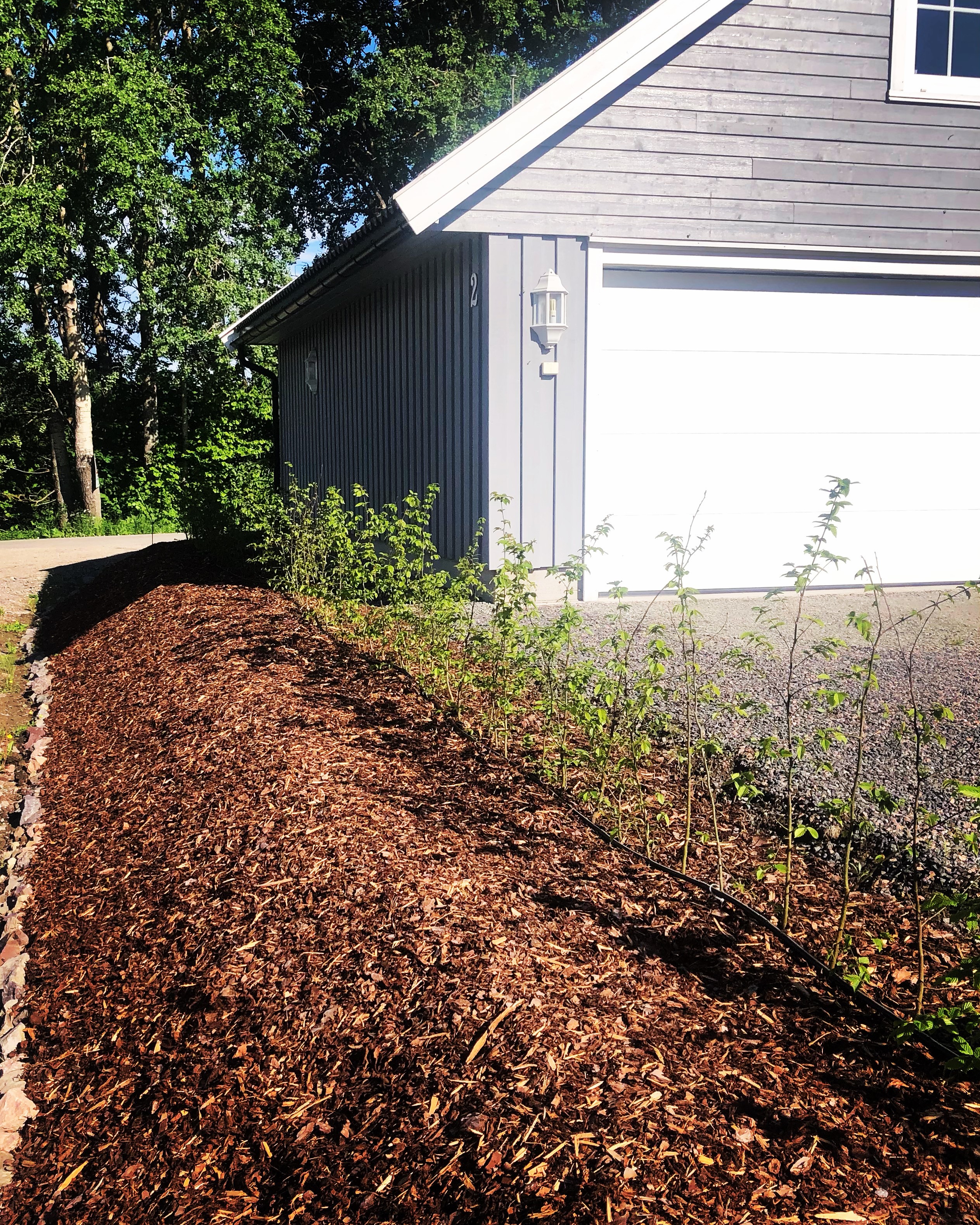 Agnbøk hekk, barrot, prosjekt i Hof