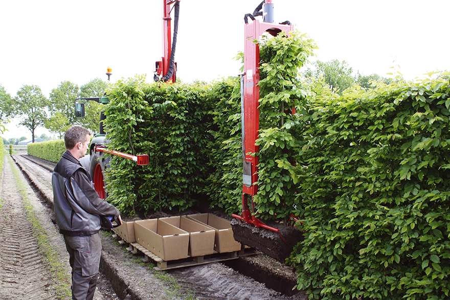 Ferdige hekkelementer for enkel planting