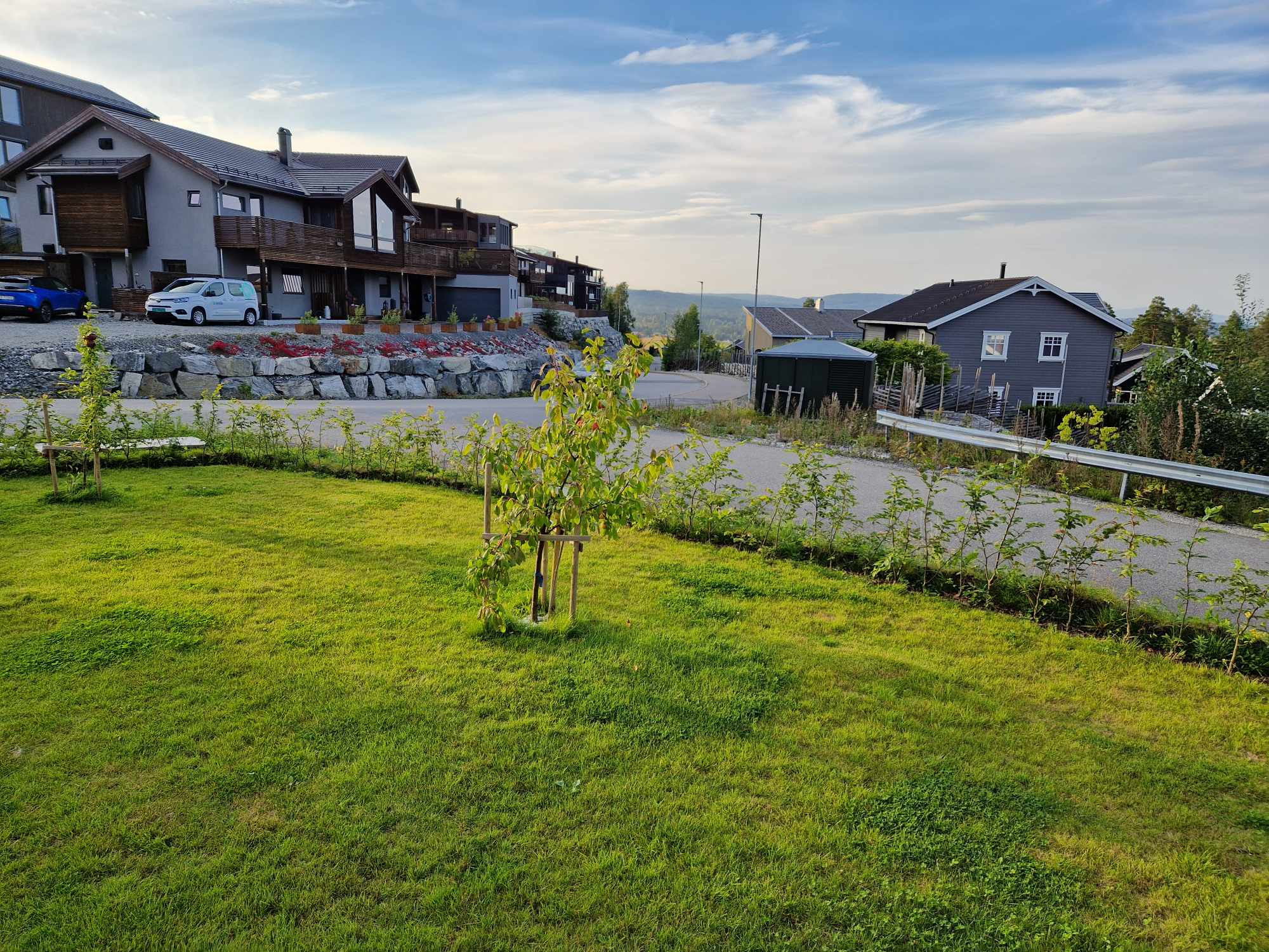 Agnbøk-barot-Gjerdrum-juni-2024