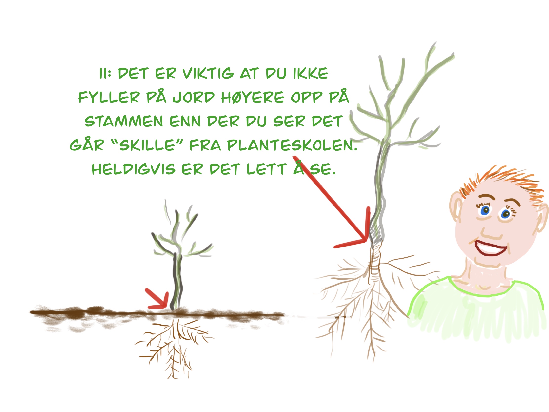 Bilde fra hekkprosjekt Sture, del 11