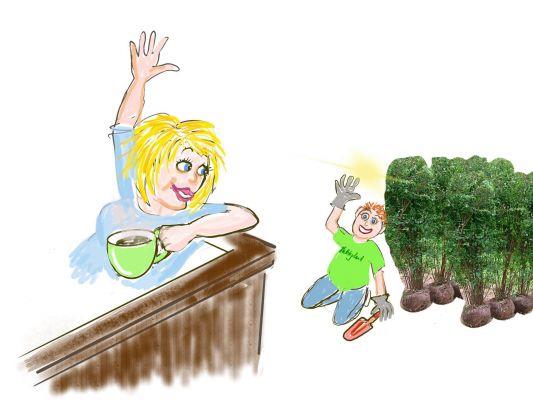 Sture viser planting av hekkplanter