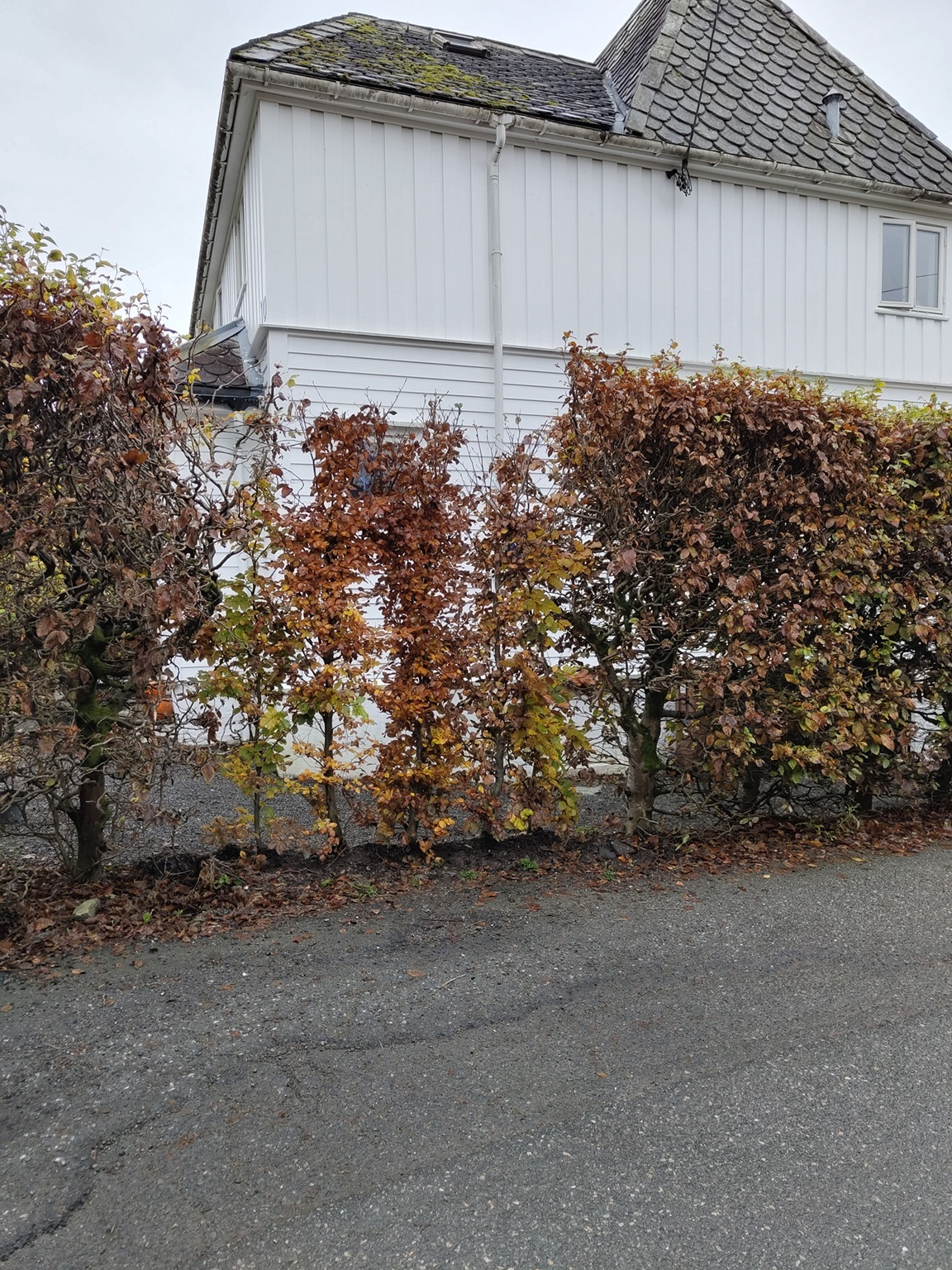 Bk Prima ferdighekk Bergen 2