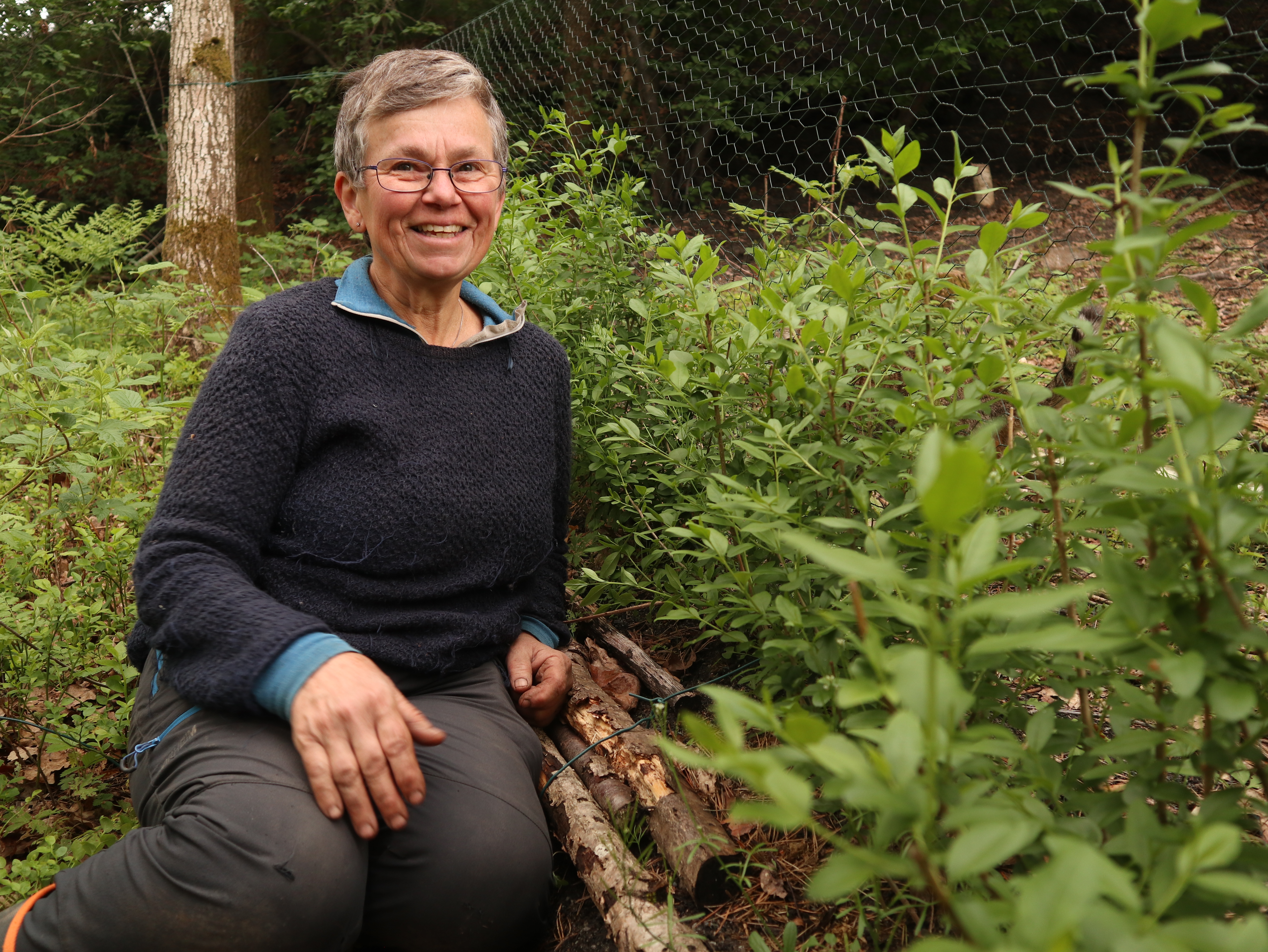 Hekk og plen i frodig hage