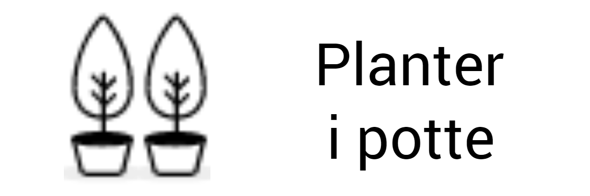  Planter i potte