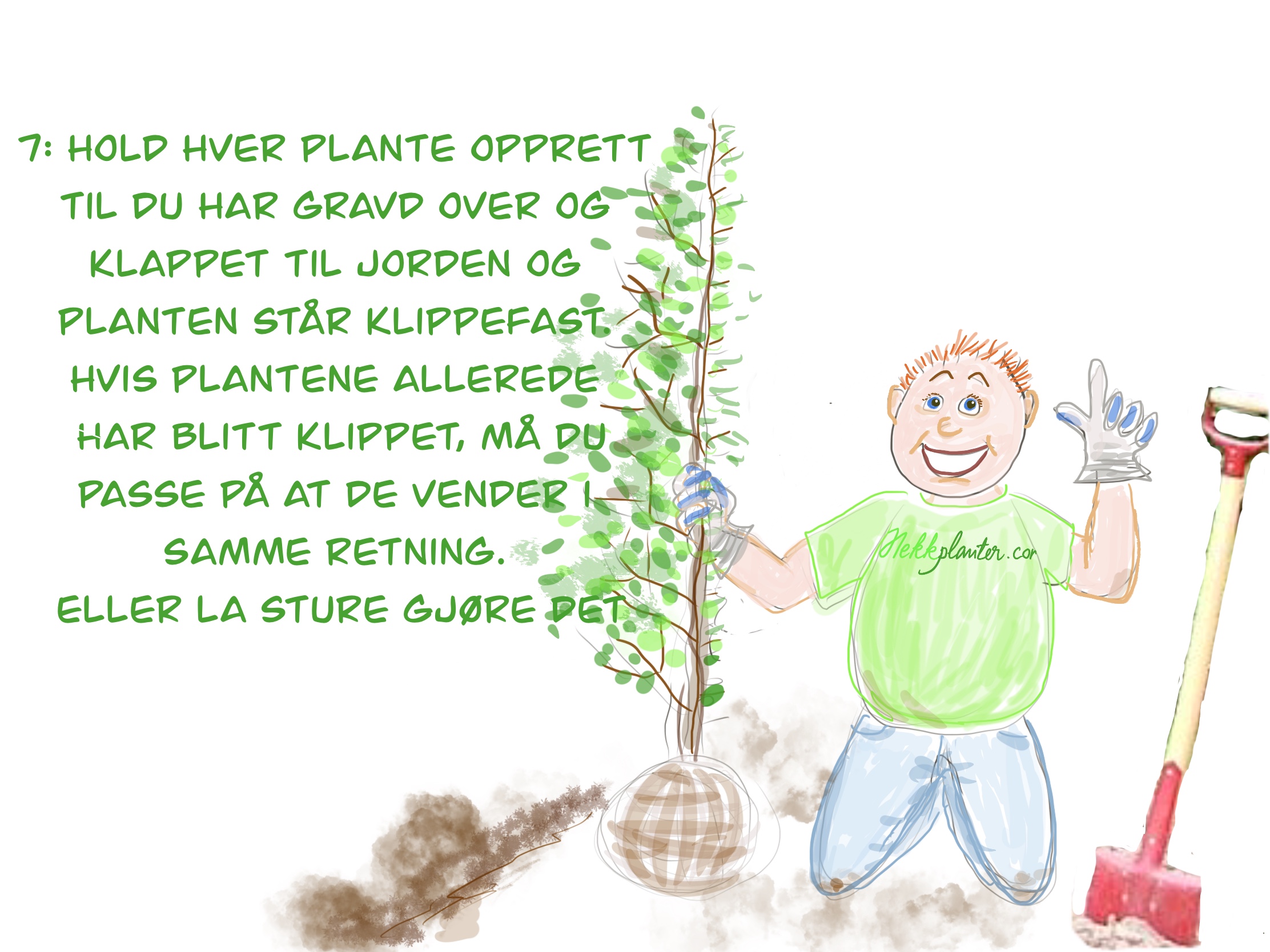 Bilde fra hekkprosjekt Sture, del 7