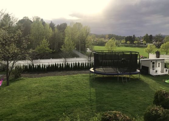 Thuja Smaragd hekk plantet hos kunde i Asker