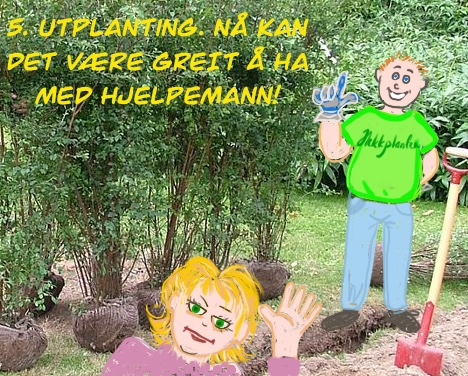 Bilde fra hekkprosjekt Sture, del 5