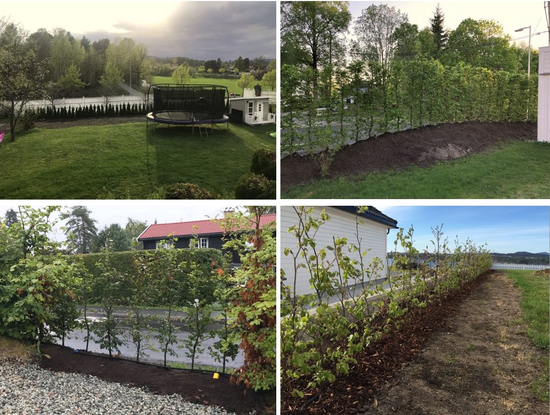 Kundebilder av hekkprosjekter og fornøyde kunder