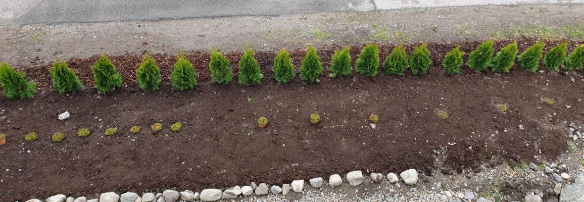 Bilde fra hageprosjekt hos Adolfsen, grønn og tett hekk