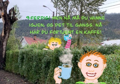 Bilde fra hekkprosjekt Sture, del 9