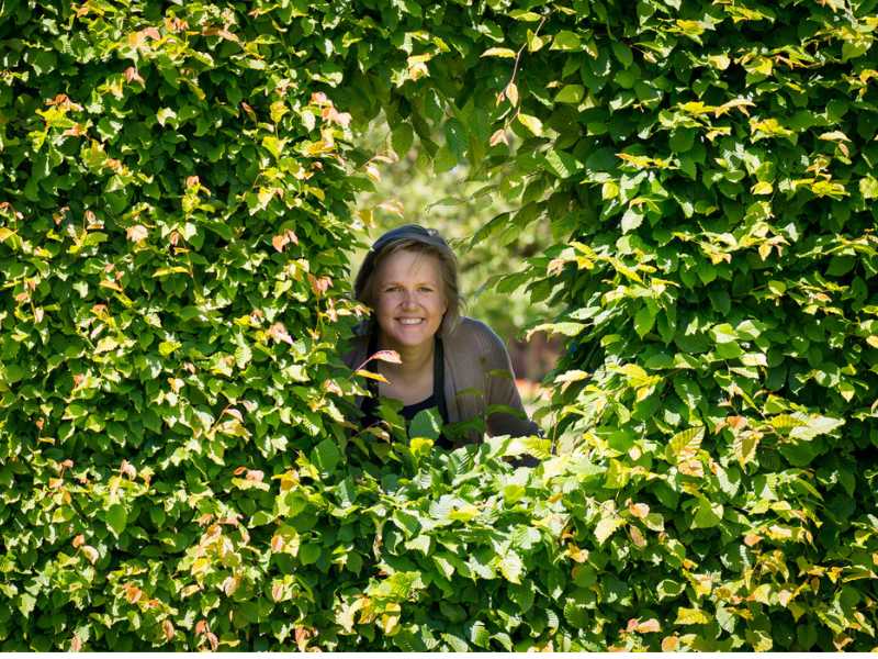 Hvilken hekk skal jeg velge